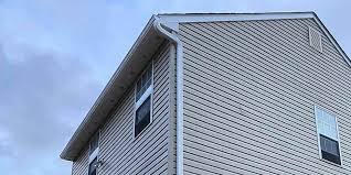 Best Custom Trim and Detailing for Siding  in Charlotte Park, FL